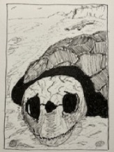 Inktober 2025 28. Sketetal